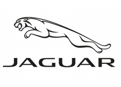 Jaguar eyeglasses